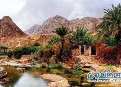 تور طبس آبان 1404: سفری به دل ناشناخته ها تور طبس آبان 1404: سفری به دل ناشناخته ها